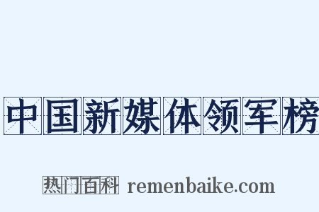 中国新媒体领军榜是什么意思的图片